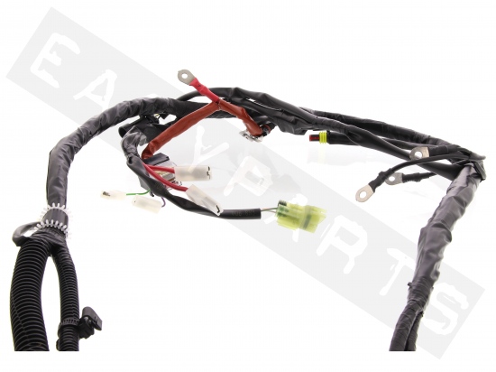 Piaggio Wiring Harness Of Chassis
